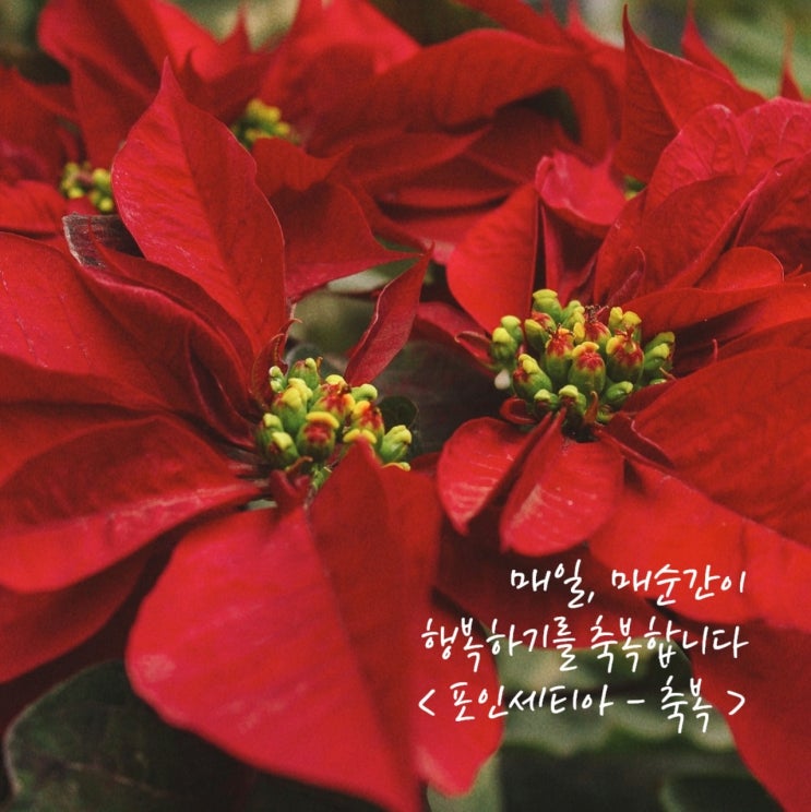  안녕, 12월