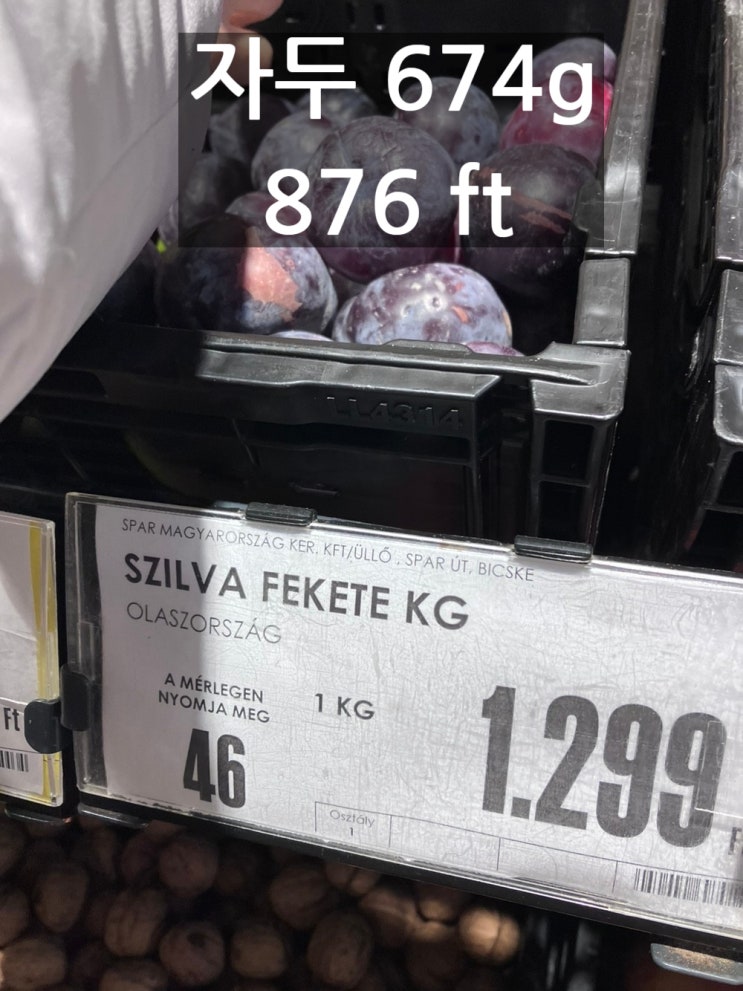  헝가리 부다페스트 물가 / 슈퍼마켓 SPAR, ALDI (+dm, tesco, 한인마트)
