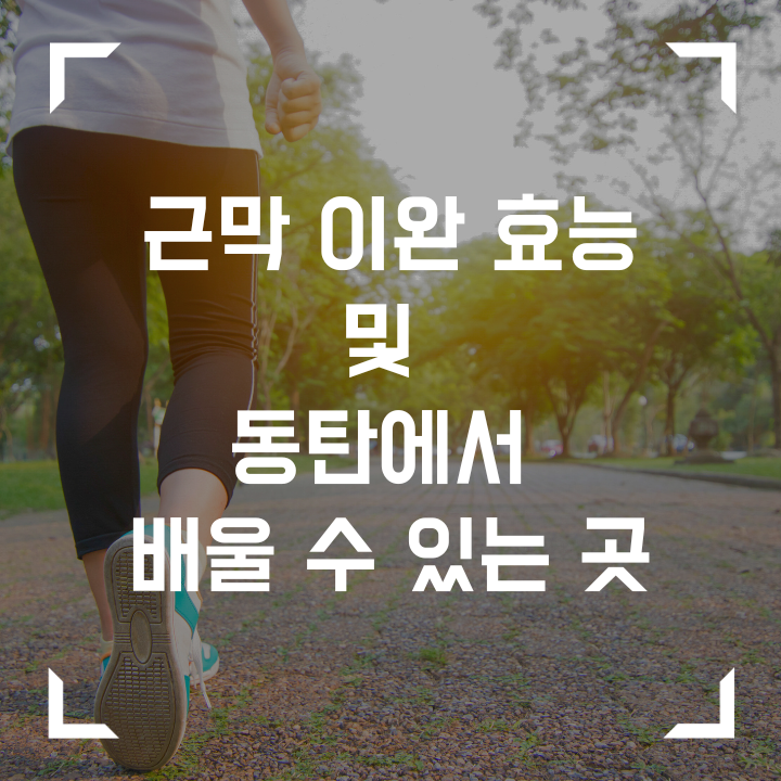  근막이완의 효능 및 동탄에서 배울수 있는 곳