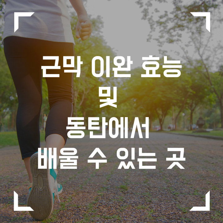 근막이완의 효능 및 동탄에서 배울수 있는 곳