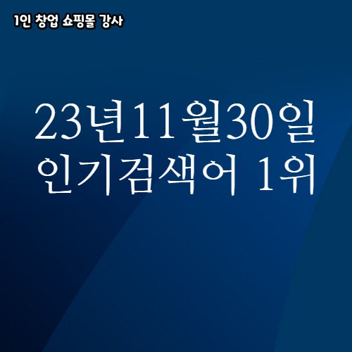 2023년 11월 30일 네이버쇼핑 분야별 인기 검색어 1위