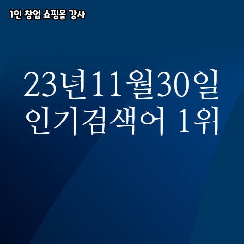  2023년 11월 30일 네이버쇼핑 분야별 인기 검색어 1위