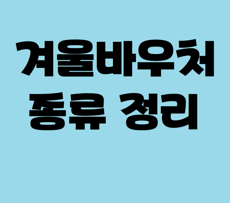  겨울철 꼭 받아야하는 복지 바우처 알아보기
