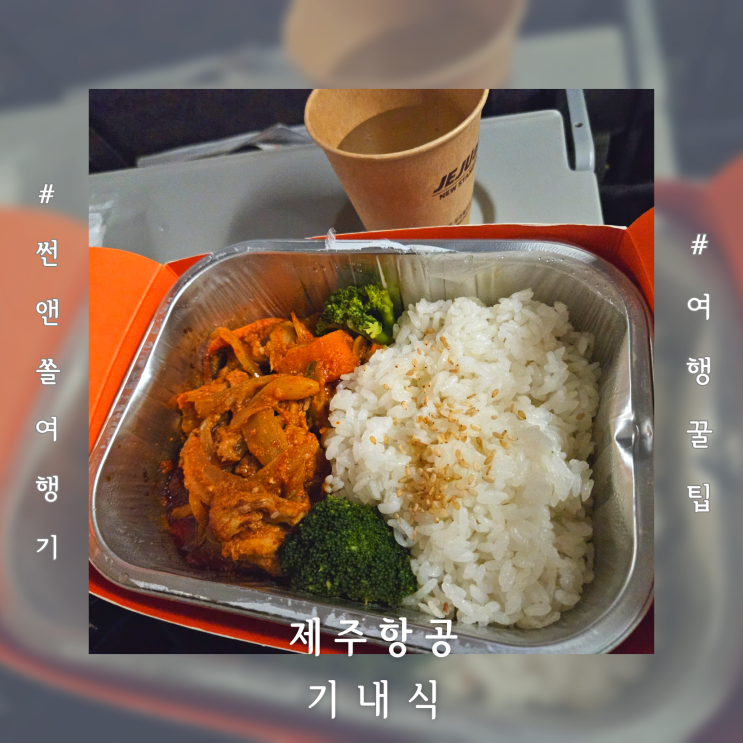  제주항공나트랑기내식 예약 가격 추천 메뉴