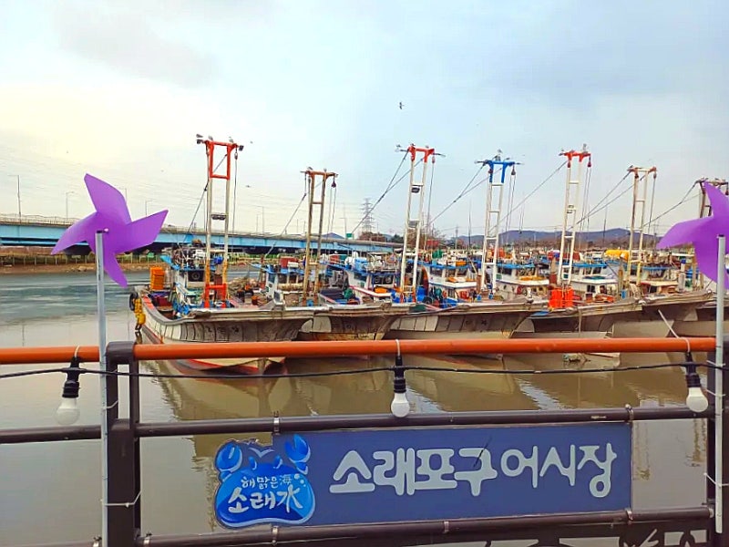 소래포구 물때 표 보는법 난전시장 영업시간 꽃게