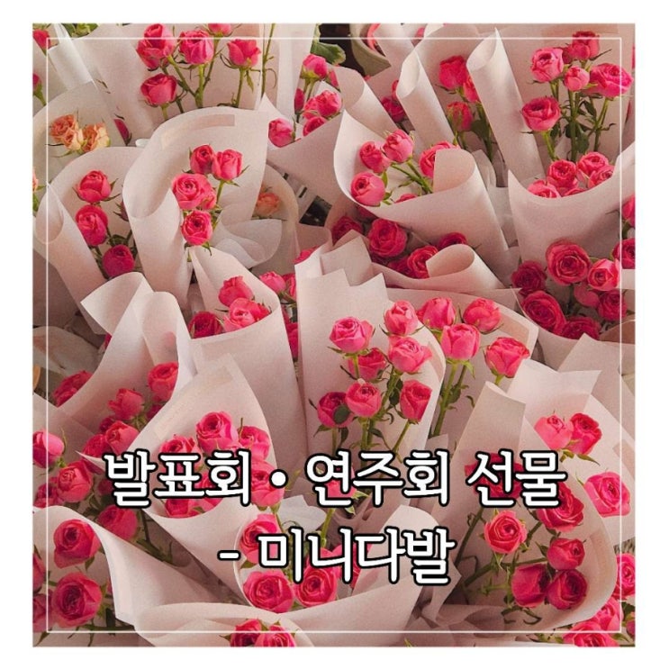  [경기 성남•광주] 발표회•연주회용 꽃다발