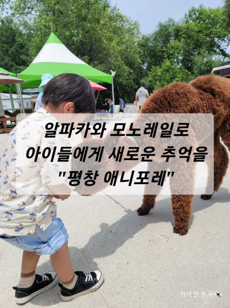  [여행] 강원도 평창, 알파카와 모노레일이 있는 "애니포레"