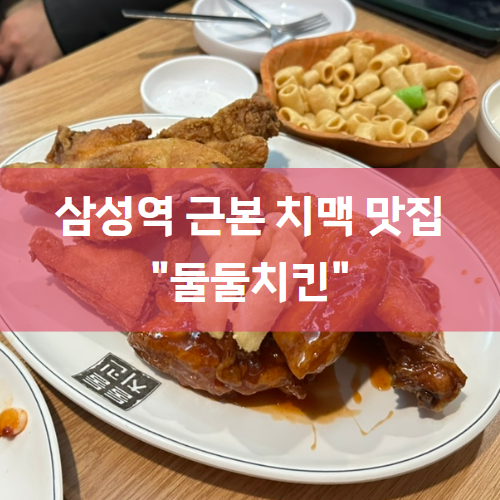  둘둘치킨 : 삼성역 치킨집 내돈내산 솔직후기