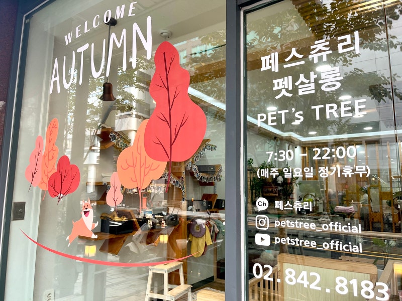 페스츄리펫살롱
