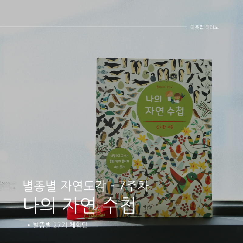 블로그 후기 사진