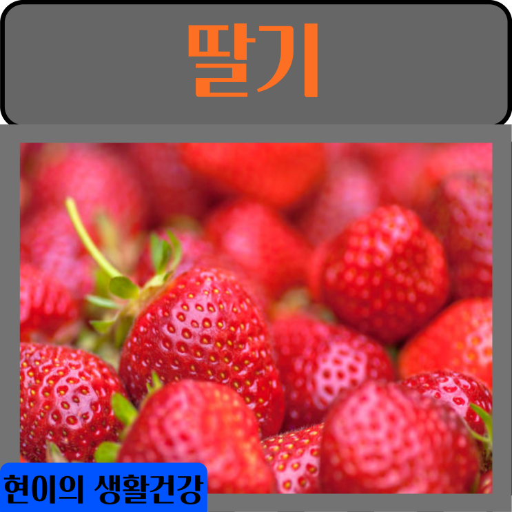 딸기 효능 부작용 성분 칼로리
