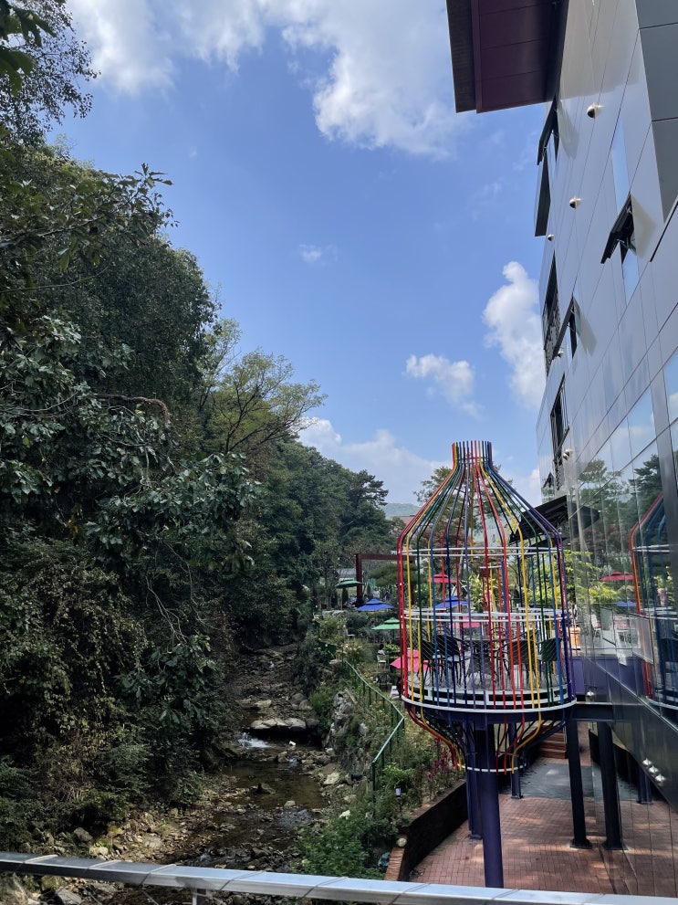  [용인 수지구 카페] 청둥오리가 사는 용인구 신상카페 <스프링사운즈> | 대형카페, 고기리 계곡뷰, 맛있는 녀석들 방영 베이커리