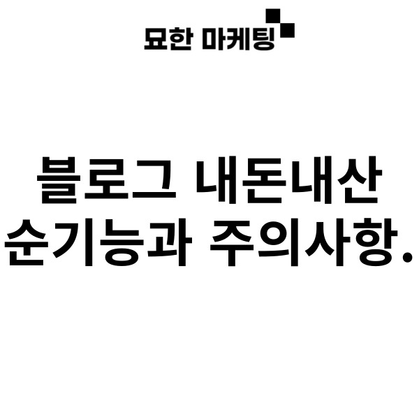  블로그 내돈내산 순기능과 주의사항.