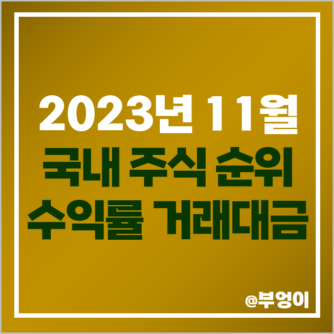 11월 국내 주식 수익률 거래대금 순위 덕성우 엘아이에스 주가