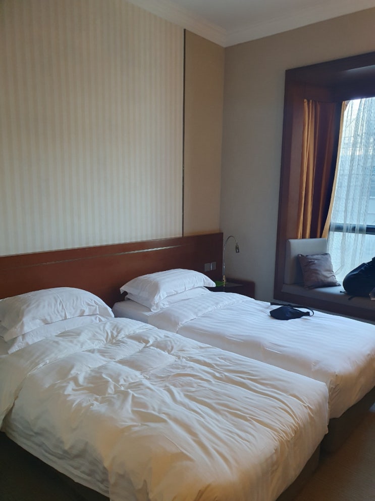  홍콩 #4 가성비 좋은 코즈웨이베이 로즈데일 호텔 홍콩