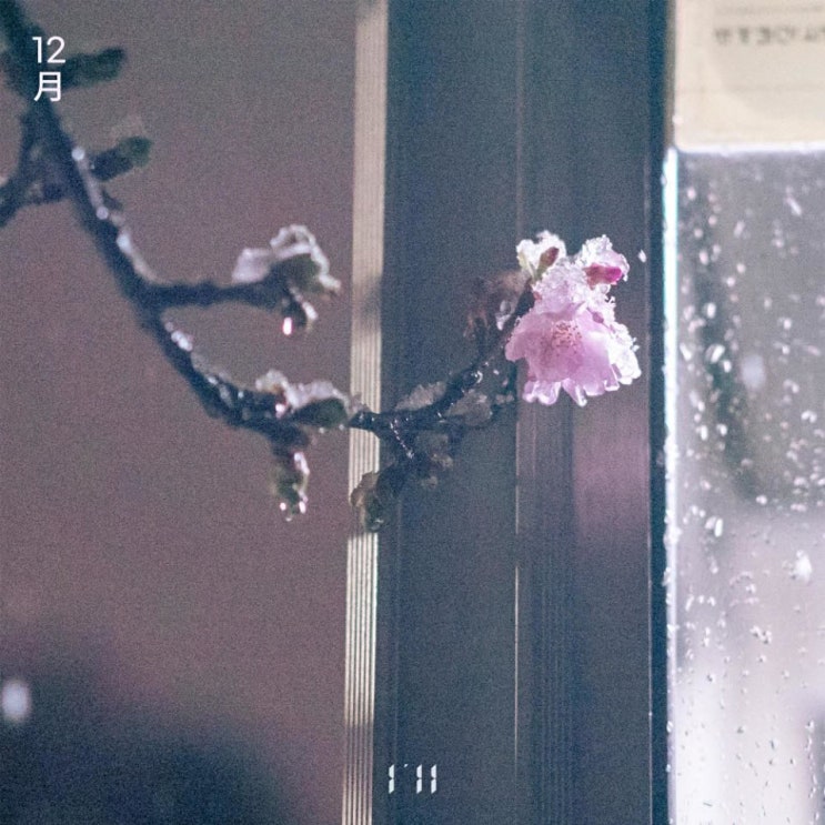 I'll (아일) - 12월 (Hate December) [노래가사, 노래 듣기, MV]