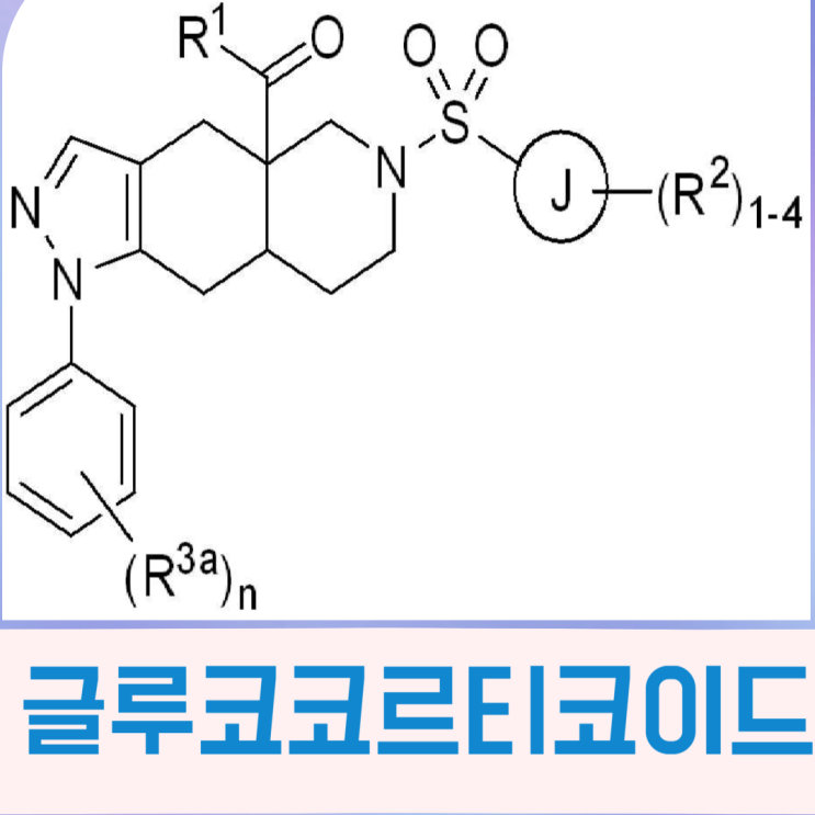  스트레스가 비만을 만든다?글루코코르티코이드와 인슐린