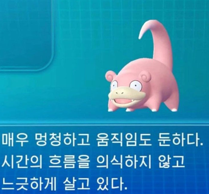  돌리라는 몸통은 안돌리고 카드만 돌린 썰 푼다 (소비)
