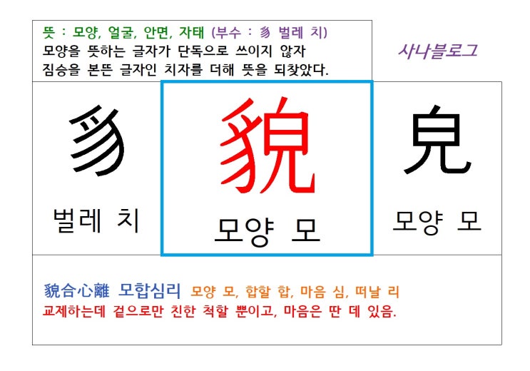  모양 모