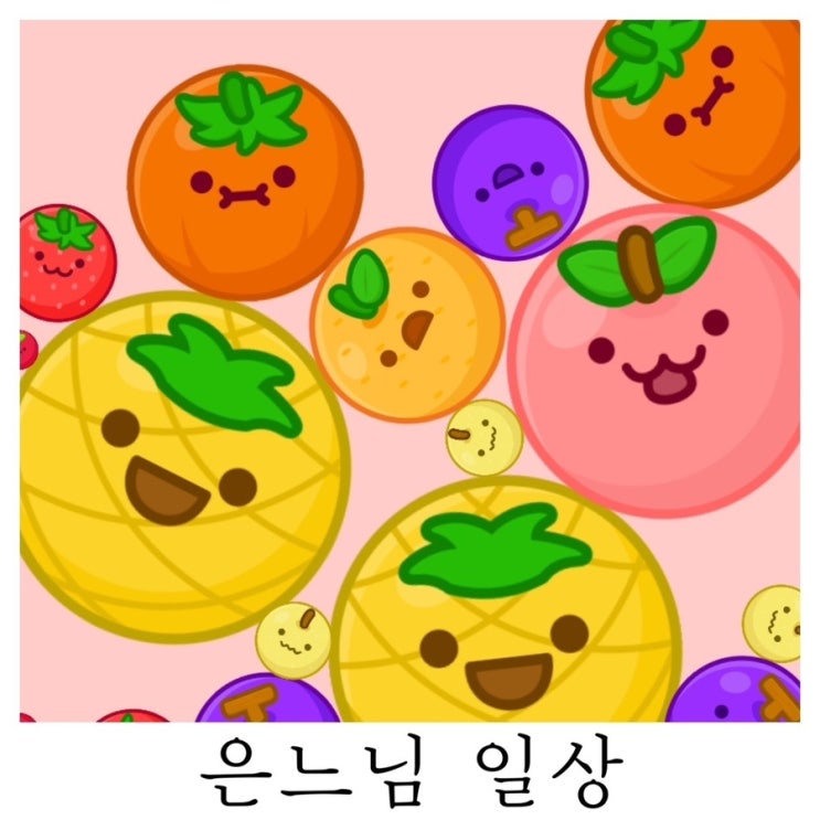  [은느님 일상]하루 시간이 언제 지나갔는지 순삭 하는 요즘 일상