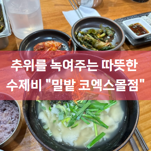 밀밭 코엑스몰점 : 삼성역 코엑스 수제비 맛집 내돈내산