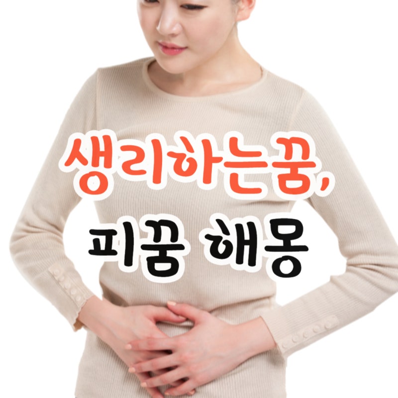 생리하는꿈 생리가 옷에 묻는꿈 생리통이 심한꿈 폐경하는 꿈 해몽
