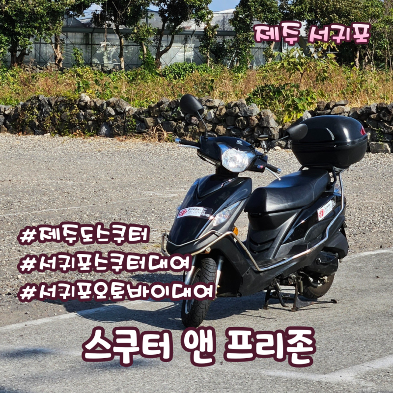 서귀포 스쿠터대여 오토바이대여 가격 및 후기 스쿠터앤프리존