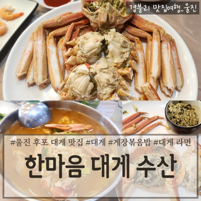  울진 후포 대게 맛집 내돈내산 후기 (Feat. 게장 볶음밥 & 대게 라면 서비스 ) '한마음대게수산'