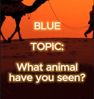 [BLUE] What animal have you seen?