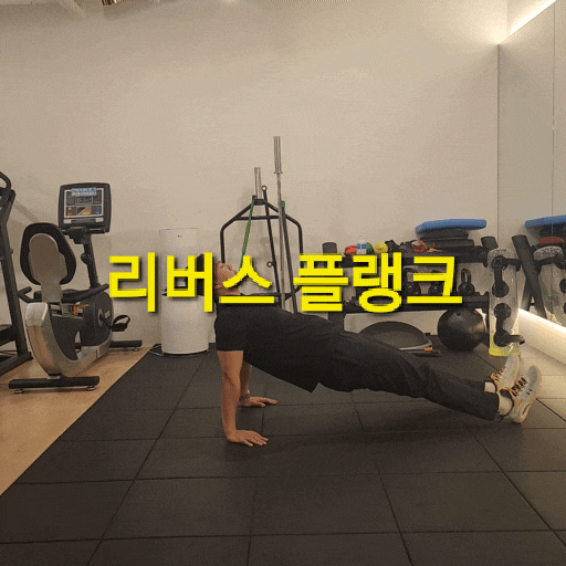 리버스 플랭크로 허리 복근 운동하기