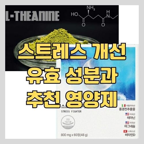  직장인 스트레스 쌓일 때 스트레스 파이터 - 비타민 D와 마그네슘, L-테아닌이 모두 포함된 영양제 추천