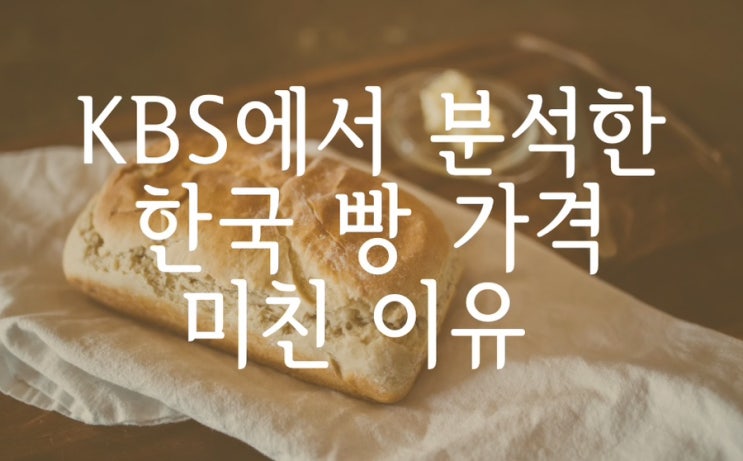 KBS에서 분석한 한국 빵 가격이 미친 이유