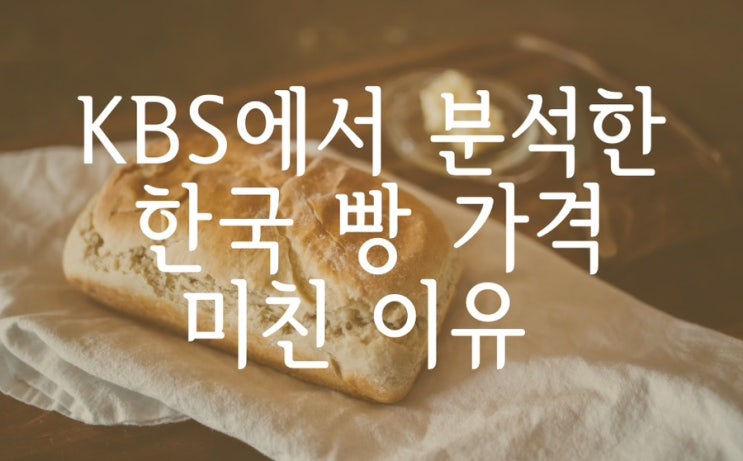  KBS에서 분석한 한국 빵 가격이 미친 이유