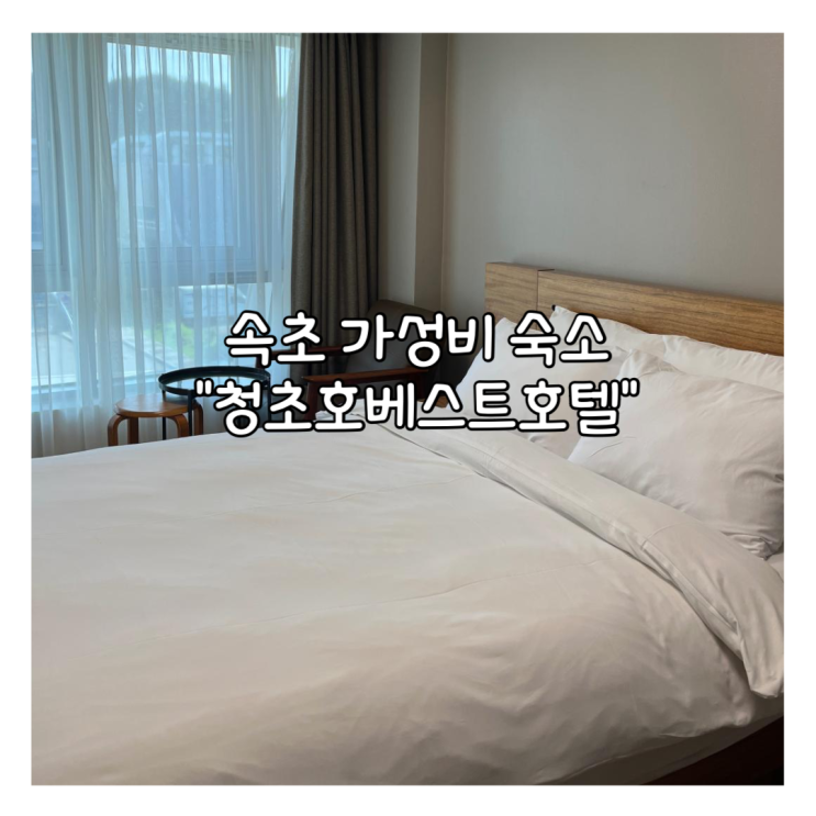  [속초] 고속버스터미널 근처 깔끔한 숙소 “청초호 베스트 호텔” 스탠다드룸 친돈친산