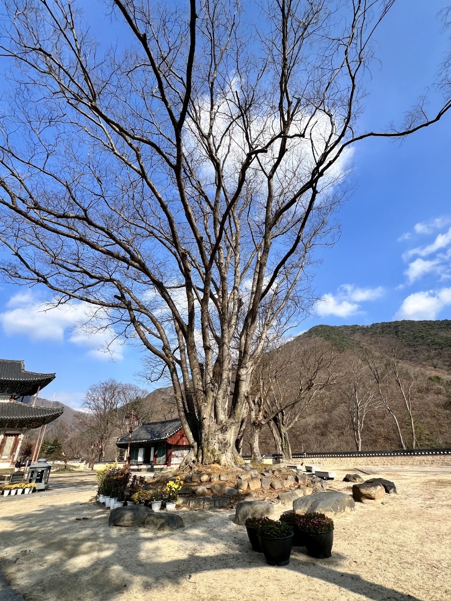 두리식당 사진 6