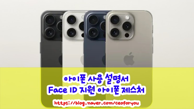 Face ID 지원 아이폰 모델의 제스처