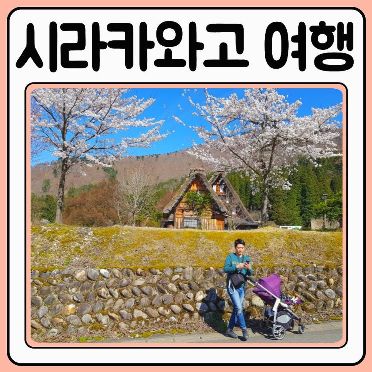  나고야 시라카와고 여행 유네스코 문화재 마을
