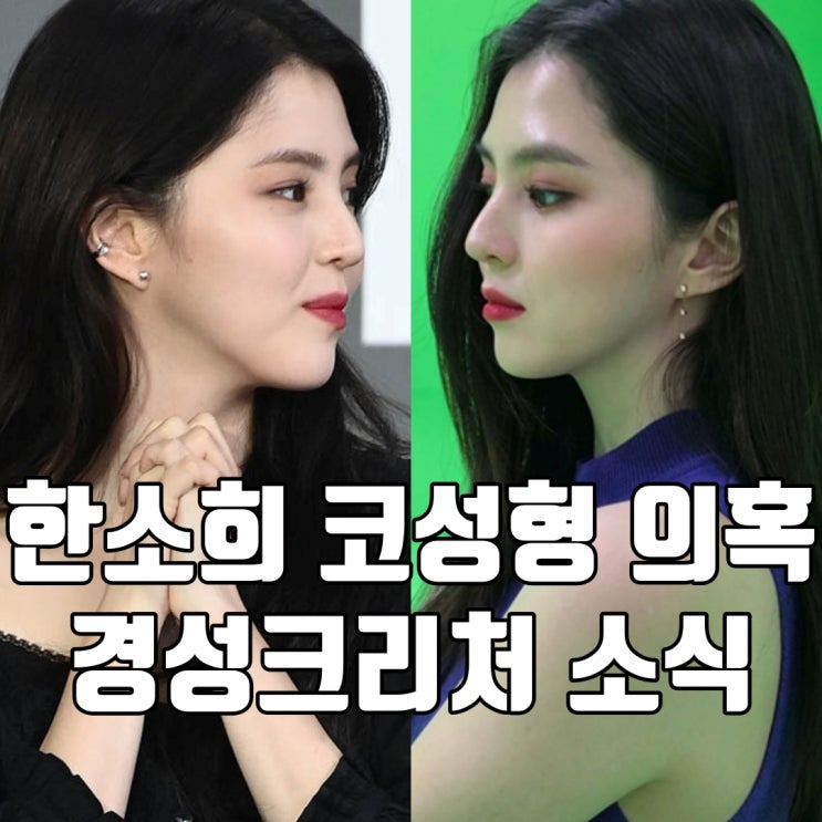 <b>한소희</b> 코 <b>성형</b> 수술 의혹 해명 정리 경성크리처 소식