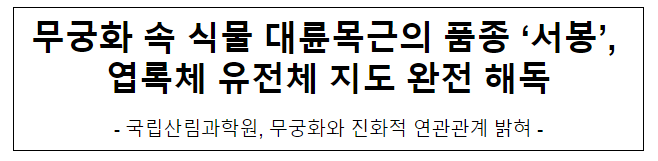 무궁화 속 식물 대륜목근의 품종 ‘서봉’, 엽록체 유전체 지도 완전 해독 무궁화 속 식물 대륜목근의 품종 ‘서봉’, 엽록체 유전체 지도 완전 해독