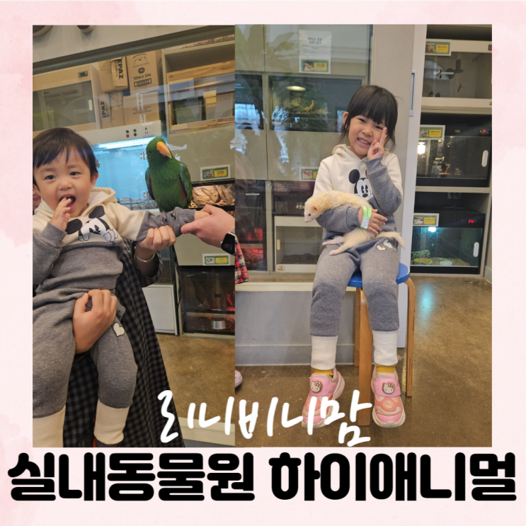  화성 봉담 동물체험 카페, 실내 동물원 하이애니멀