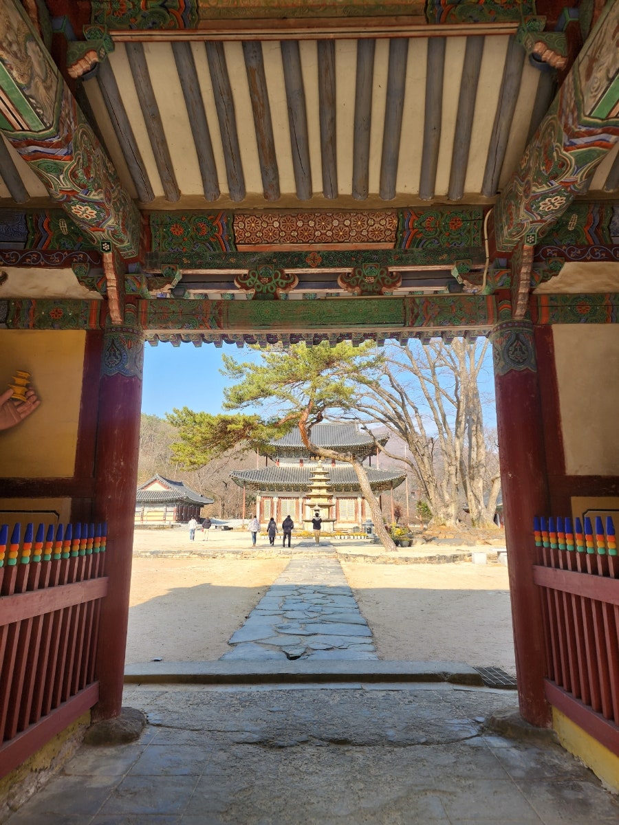 두리식당 사진 5