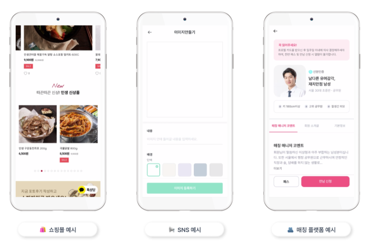  웹개발 어플제작 홈페이지제작업체 필요할때 알파브라더스
