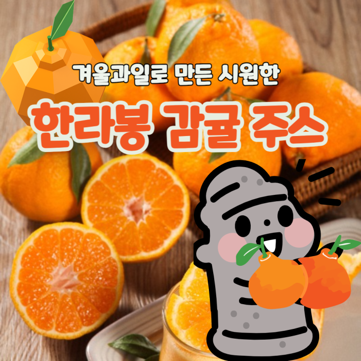  겨울의 과일로 만든 시원한 한라봉 감귤주스