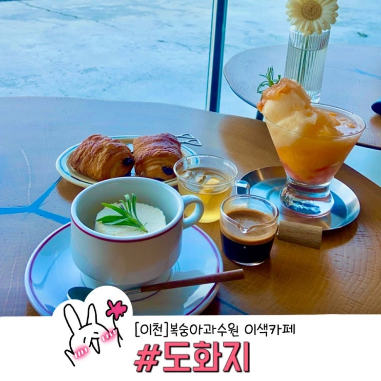  이천이색카페 도화지 복숭아과수원 야외포토스팟 음료 디저트 맛집