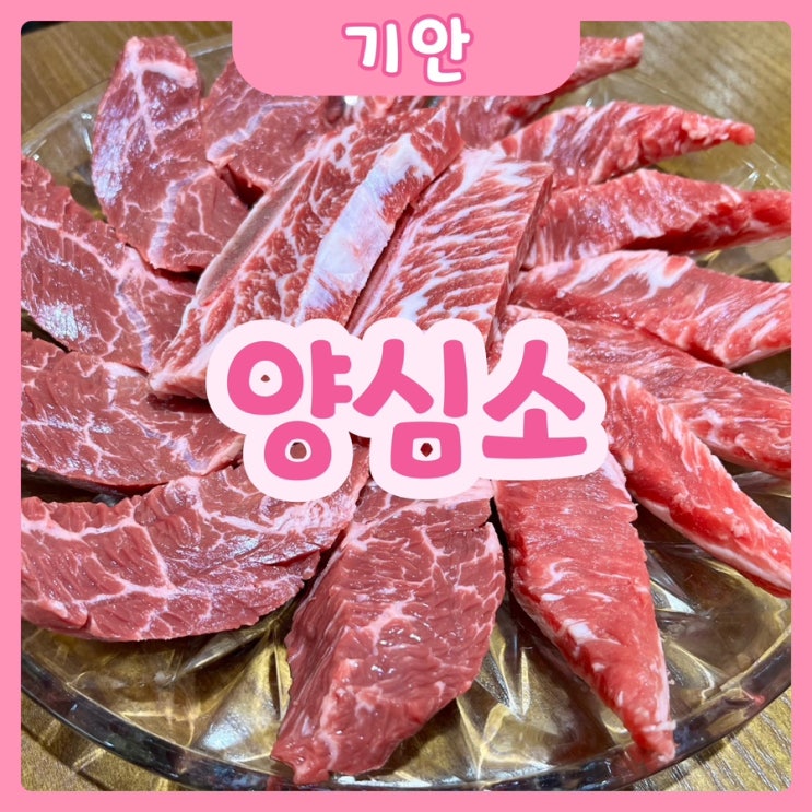  [화성|기안] 양심소 봉담직영점 | 회식하기 좋은 기안동고기집을 찾고 계신다면? 양심소가 제격!