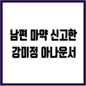 강미정 아나운서 남편 마약혐의 고발하자 역고소 이정섭 검사처남 외압수사 의혹