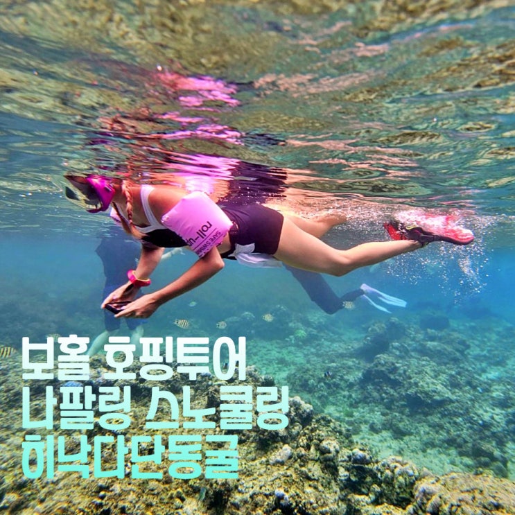  보홀 호핑투어 몽키호핑 나팔링 스노쿨링 히낙다난동굴