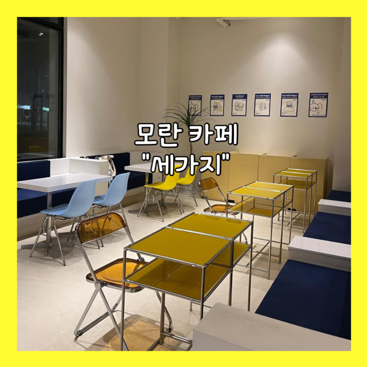  [모란] 재재방문 카페 애견동반 가능한 "세가지" 내돈내산