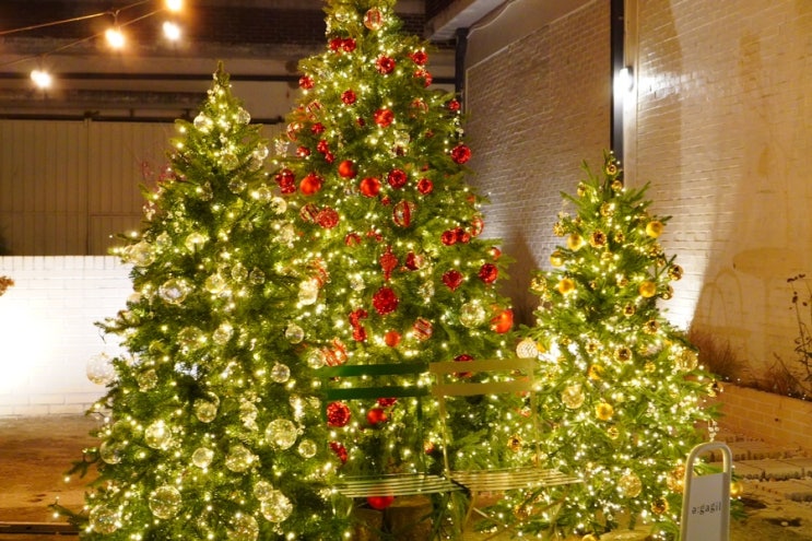 포천 어가길 대형 크리스마스 트리가 있는 베이커리 카페
