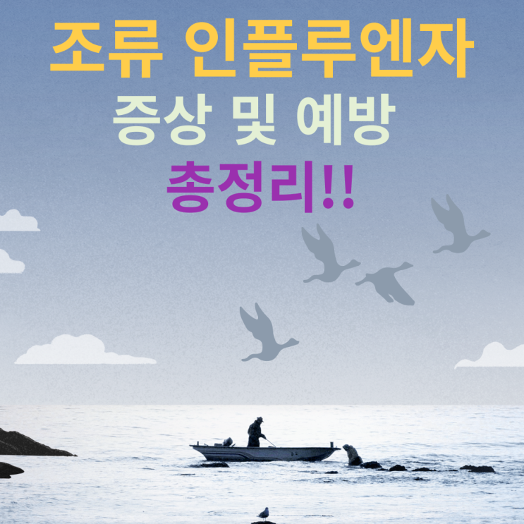  조류 인플루엔자, 고병원성 AI 증상 및 예방 총정리!!